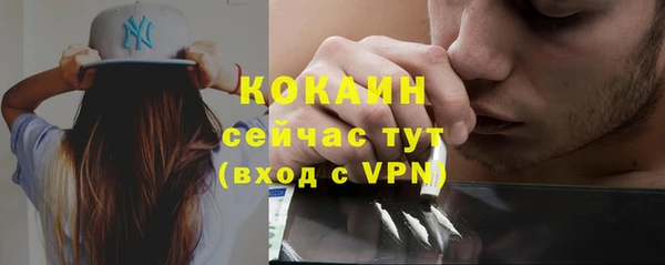 шишки Пролетарск