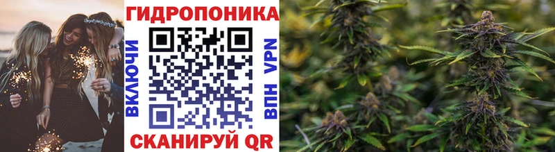 Конопля гибрид OMG вход Курчатов